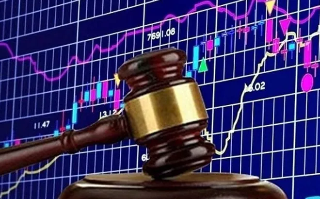 Mua chui cổ phiếu của TTZ Holdings, một cá nhân bị phạt 200 triệu đồng