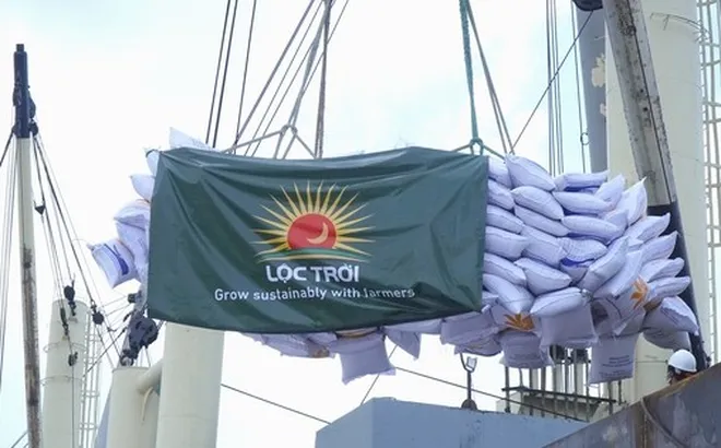 Lộc Trời vẫn chưa thể công bố báo cáo tài chính quý II/2024