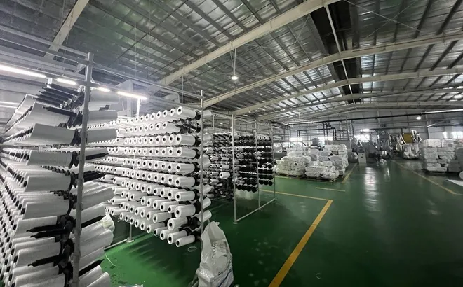 Chủ tịch Bao bì và Thương mại Dầu khí Bình Sơn sắp rời ghế sau 5 tháng