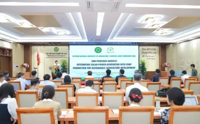 Khai thác hiệu quả năng lượng mặt trời: Kết hợp sản xuất điện mặt trời trong sản xuất cây trồng để phát triển nông ngiệp bền vững