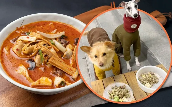 Nồi lẩu đặc biệt dành cho chó cưng khiến dân mạng "phát hờn": "Còn ngon hơn cả đồ tôi ăn"