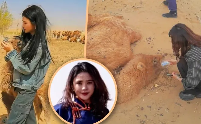 Cứu lạc đà giữa nắng cháy sa mạc, nữ hướng dẫn viên du lịch khiến cư dân mạng cảm phục