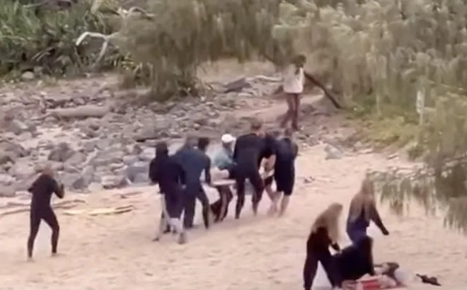 Clip: Kinh hoàng khoảnh khắc cá mập "truy sát" thiếu niên đến tận bờ, người qua đường tung cú đấm giải cứu