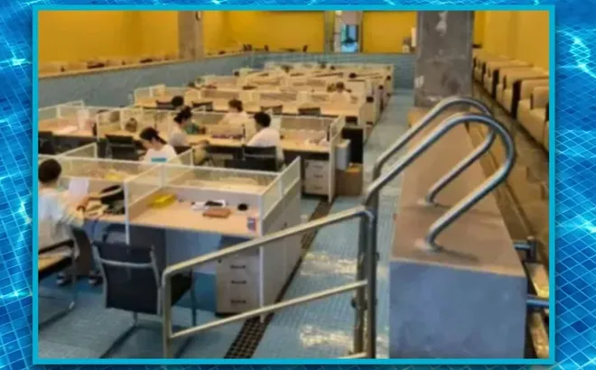 Công ty "hô biến" bể bơi thành văn phòng, nhân viên leo thang ra vào như đi bơi khiến dân mạng cười bò