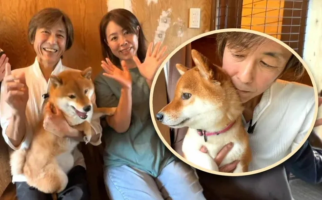 Cảm động người đàn ông bán cả siêu xe Ferrari để nuôi đàn chó dữ: “Chúng từng cứu tôi, giờ là lúc trả ơn”