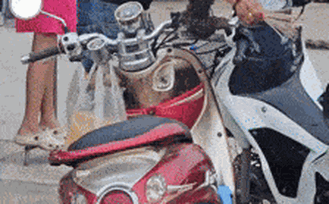 Xe máy đỗ ven đường bỗng thành “đất lành ong đậu”, dân mạng kéo vào soi biển số làm điều không ai ngờ