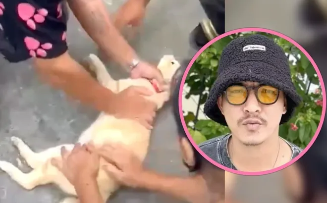 Chú mèo nhỏ bị điện giật nằm bất động giữa đường, người đàn ông lao đến làm điều khiến ai cũng cảm động