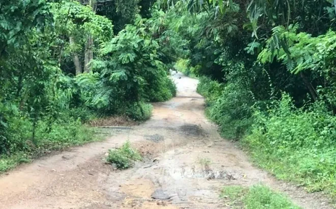 Vụ "nghịch tử" sát hại mẹ, chém chị ruột trọng thương ở TP.HCM: Công an vào cuộc