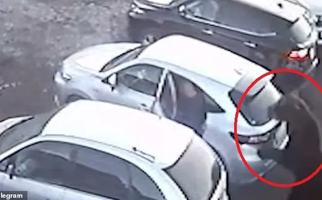 Camera ghi lại cảnh tượng kinh hoàng: Gấu đen khổng lồ lao vào tấn công khiến cụ bà 84 tuổi tử vong