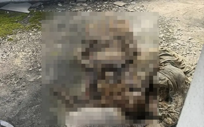 Những tấm ảnh kinh hoàng trong chiếc điện thoại thất lạc giúp cảnh sát phát hiện thi thể đã phân hủy nhiều tháng