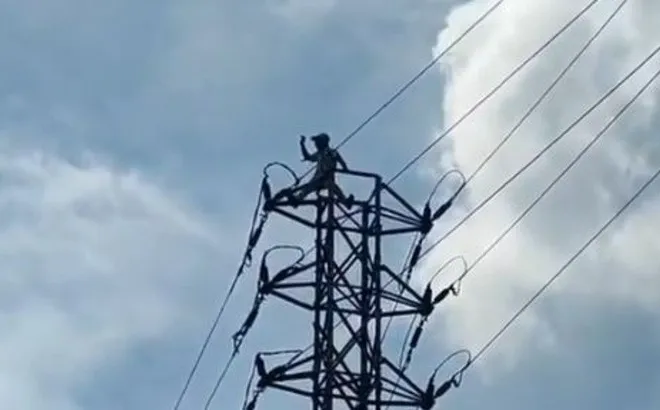 Say rượu, người đàn ông trèo lên cột điện "ăn vạ" vì không đòi được... 445 nghìn đồng