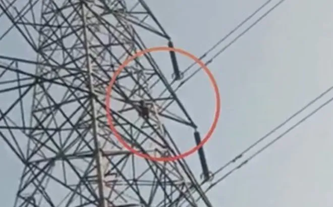 Clip: Nam thanh niên leo cột điện sau khi bị từ chối kết hôn
