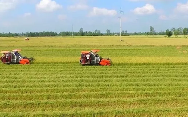 Quy định về hỗ trợ khi thu hồi đất nông nghiệp