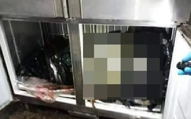 Sát hại bạn gái, giấu thi thể trong tủ lạnh kim chi suốt hơn 1 năm: Hung thủ bị bắt, khai nguyên nhân khiến ai cũng phẫn nộ!