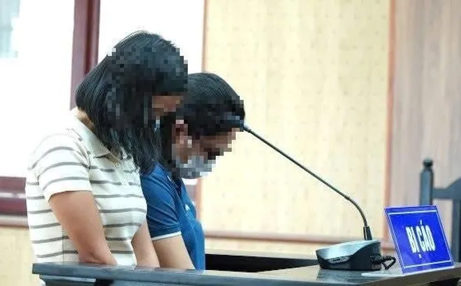 Hai nữ kế toán tại Vũng Tàu bị phạt 1,2 tỷ đồng vì hành vi trốn thuế