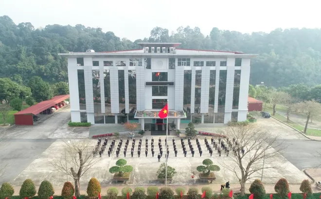 Lào Cai: Dừng làm thủ tục hải quan đối với công ty Mạnh Huy