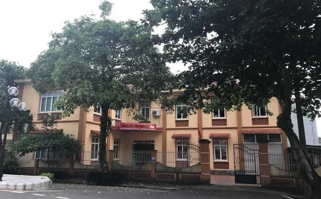 Ban QLDA ĐTXD huyện Hải Hà (Quảng Ninh): Lộ diện 3 nhà thầu "quen mặt" trúng gói thầu hơn 60 tỷ đồng, tiết kiệm 0,1%